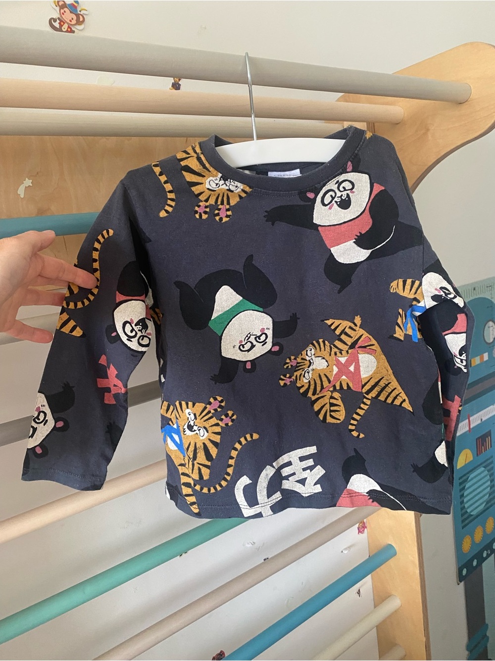 Zara Dark Grey Boys Long Sleeve Tee with Panda & Tiger Graphics